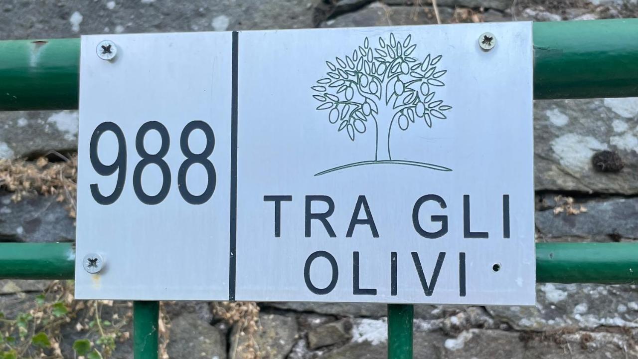 Tra Gli Olivi Lägenhet Lucca Exteriör bild