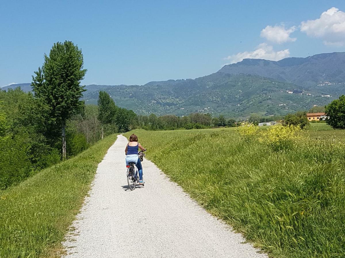 Tra Gli Olivi Lägenhet Lucca Exteriör bild